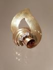 Kleiderclip aus Gold mit Brillanten